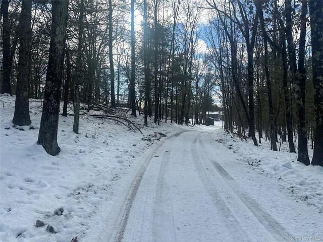 $125,000 | Cedar Drive, Elizaville, NY 12523