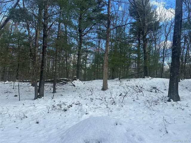 a view of a yard covered in snow