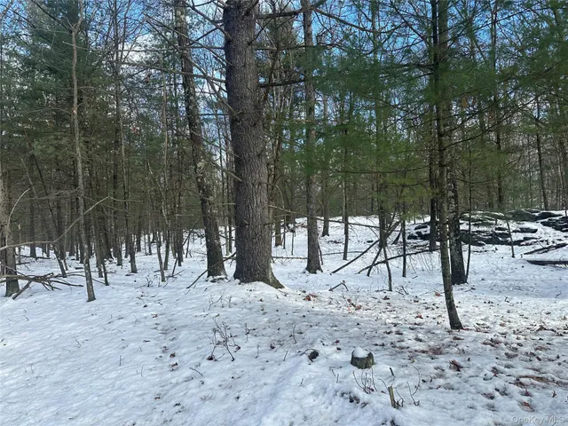 a view of a backyard of a house