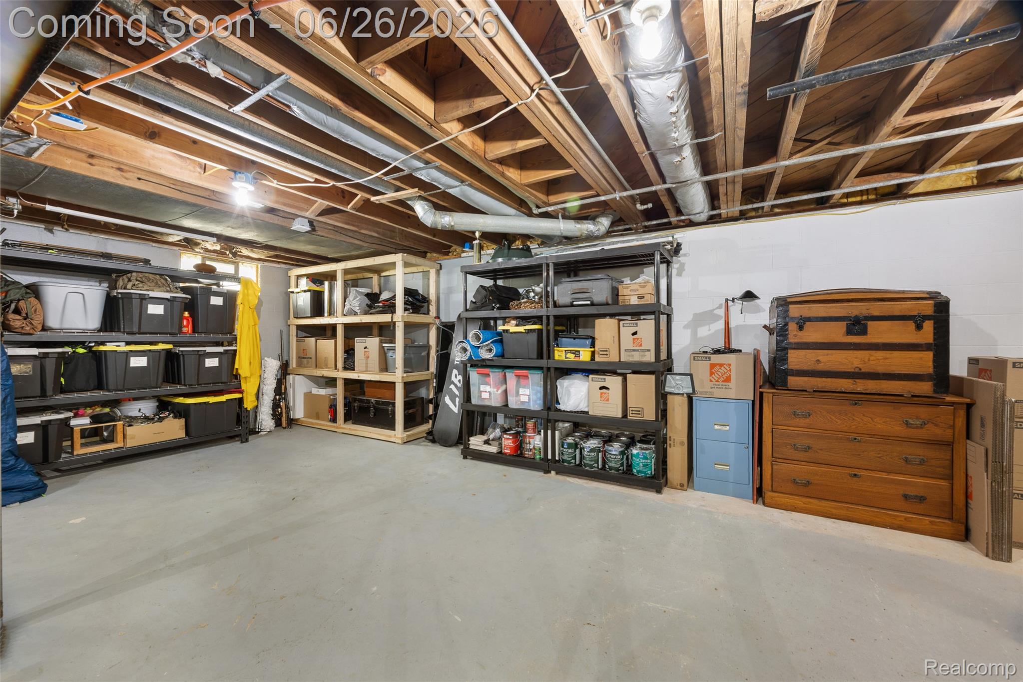 11997 Ruth Street South Lyon, MI 48178 - Photo 20 of 42 20_basement storage.jpg