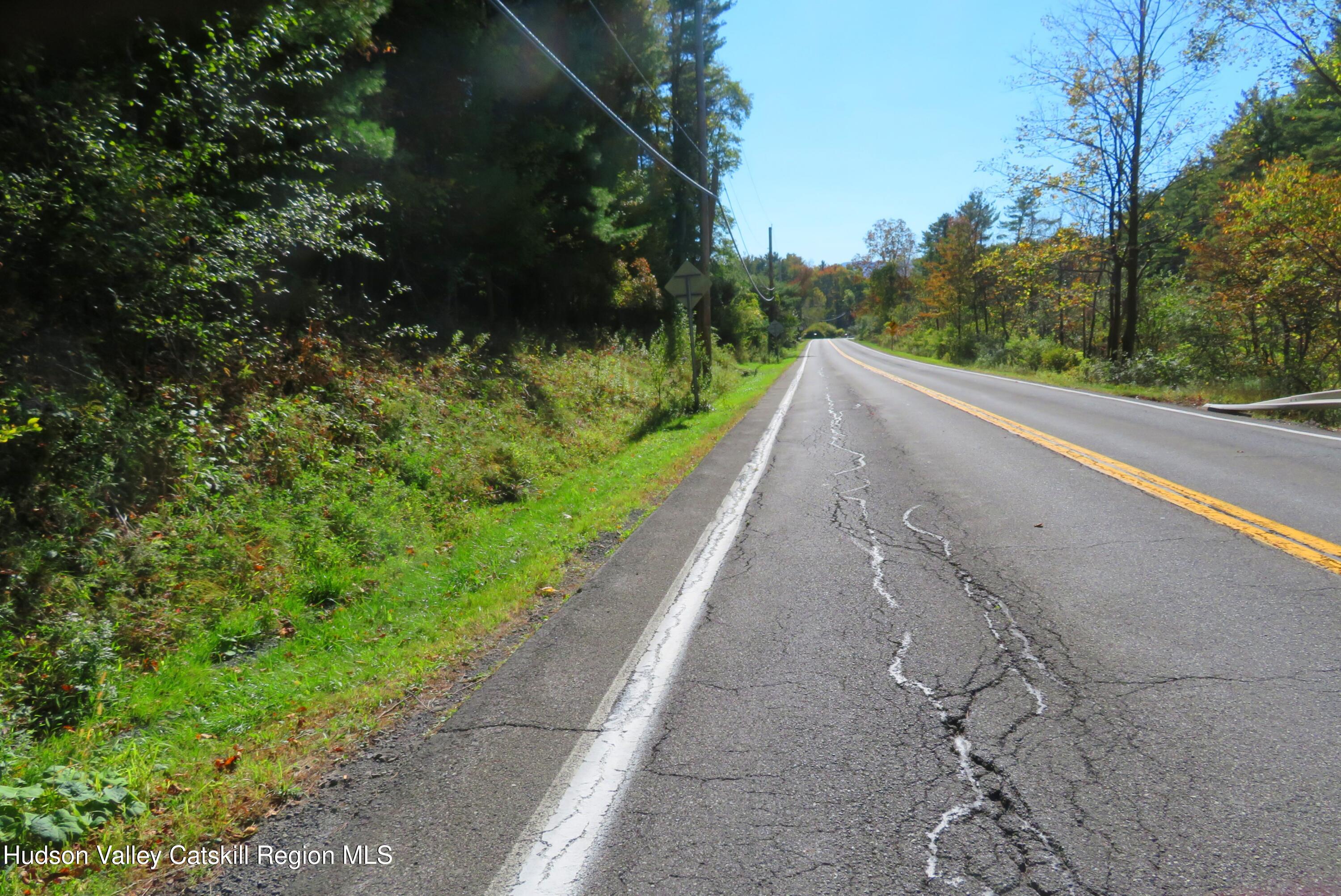 0 West Route 81 West Greenville, NY 12083 - Photo 1 of 4 a view of street view