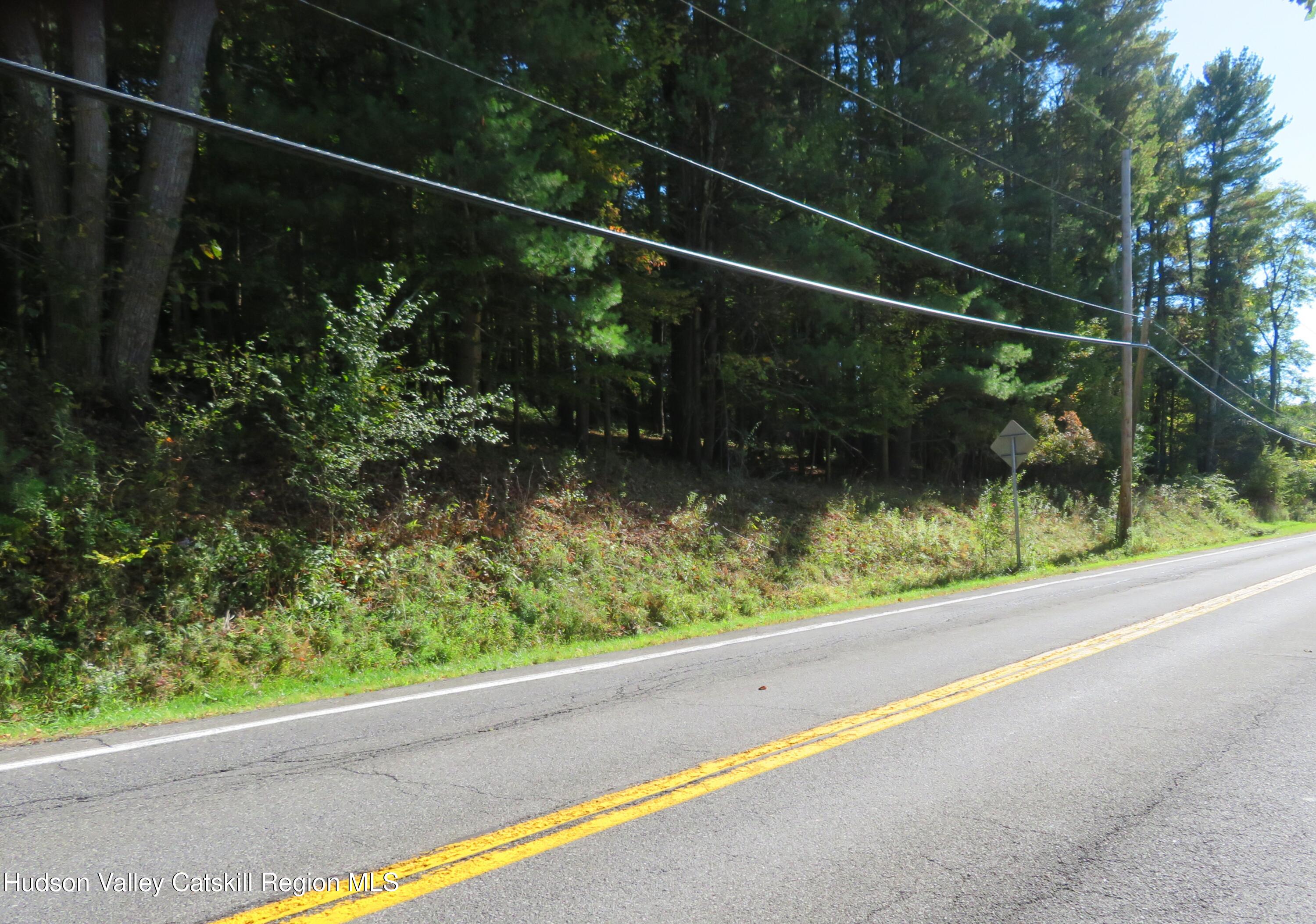0 West Route 81 West Greenville, NY 12083 - Photo 3 of 4 a view of a street