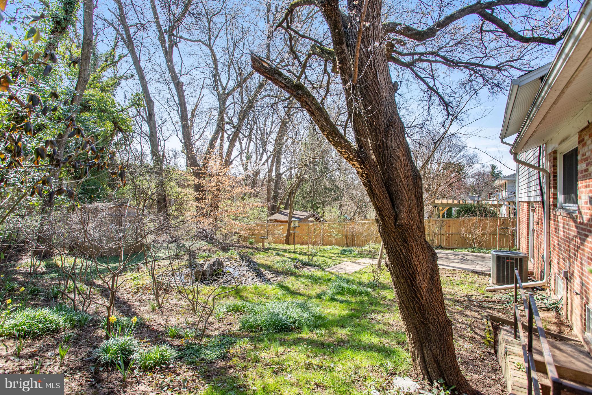 9815 Belhaven Road Bethesda, MD 20817 - Photo 48 of 53 Backyard