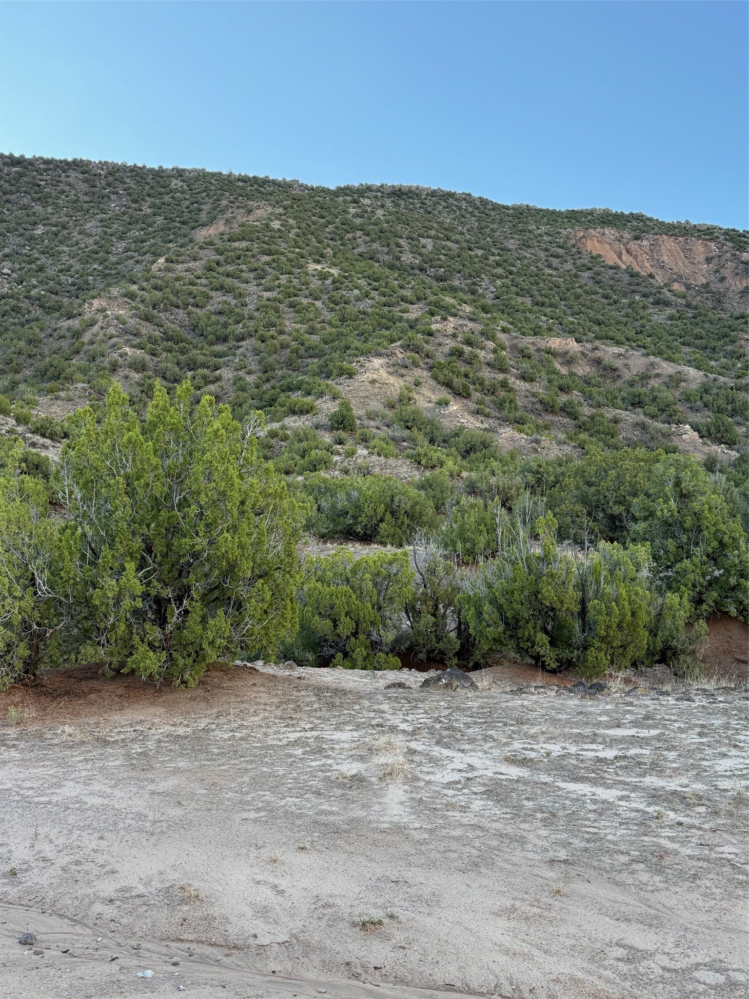 Tbd Lot 3 Tbd Road Ojo Caliente, NM 87549 - Photo 6 of 24