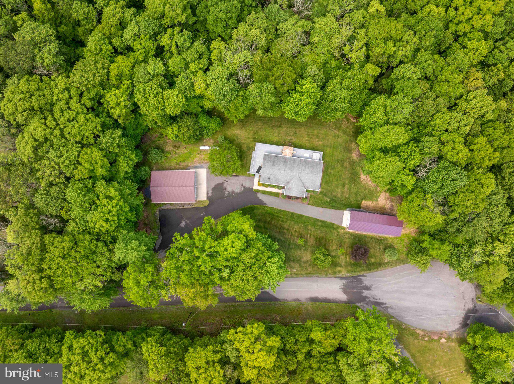 511 Hill Top Road Oakland, MD 21550 - Photo 47 of 51 Secluded retreat amidst lush greenery.