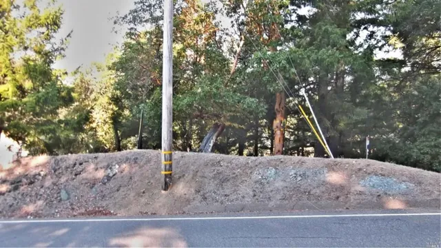 a view of a park with large trees