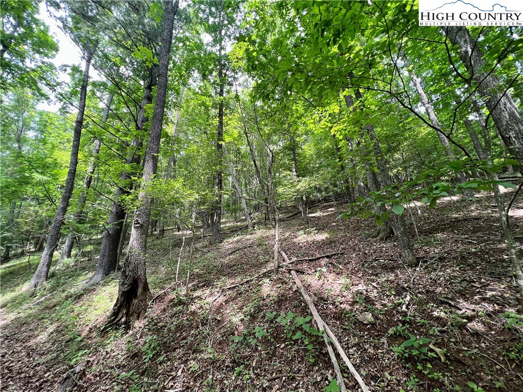 Misty Mountain Road Boone, NC 28607 - Photo 11 of 16