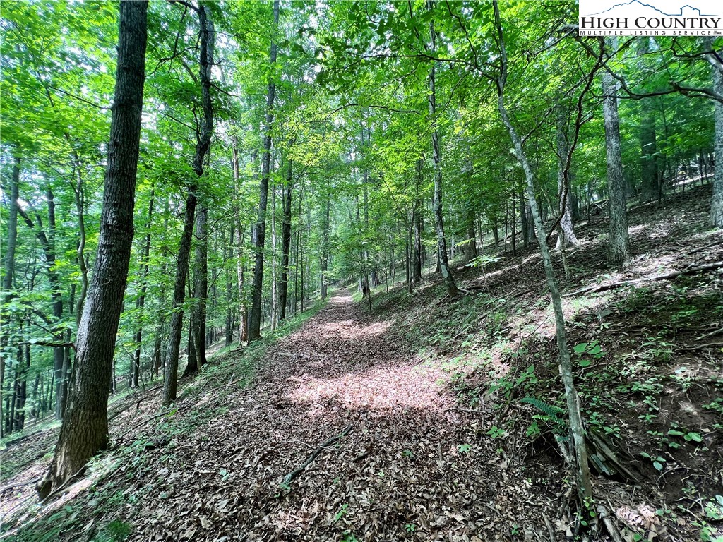 Misty Mountain Road Boone, NC 28607 - Photo 12 of 16