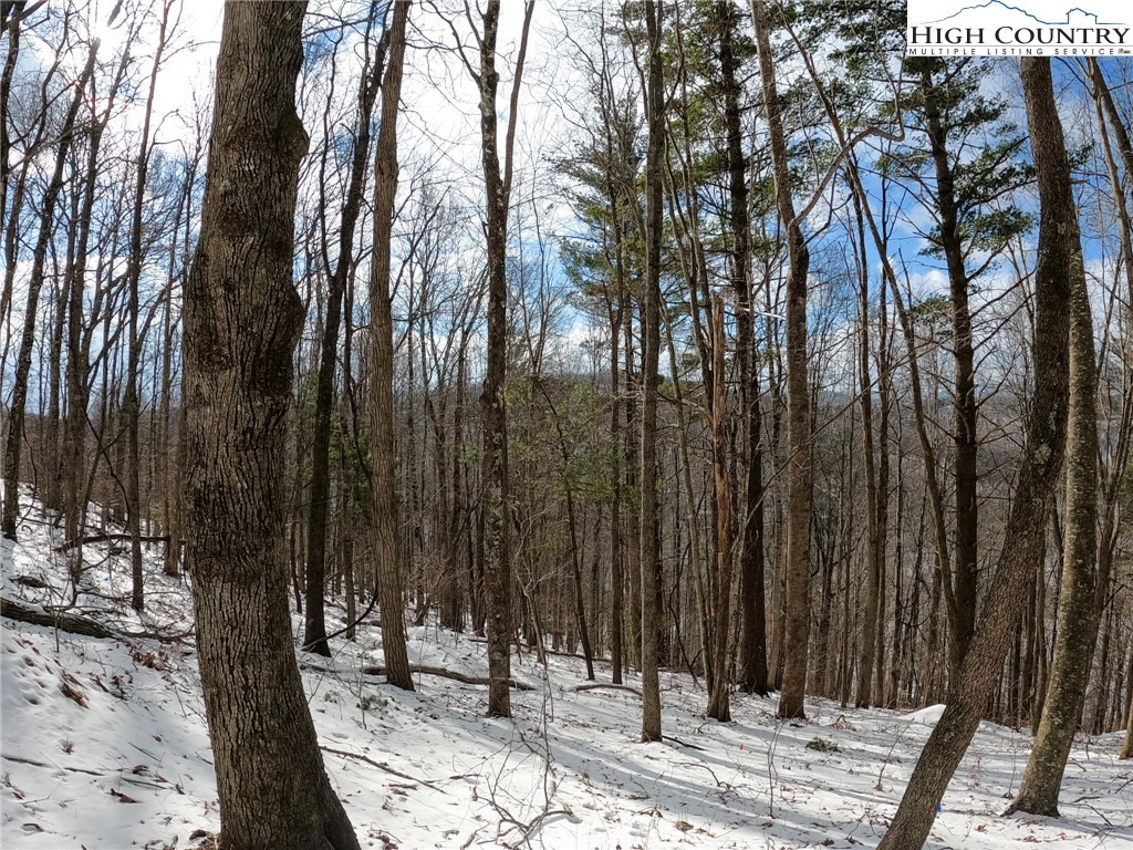 Misty Mountain Road Boone, NC 28607 - Photo 13 of 16