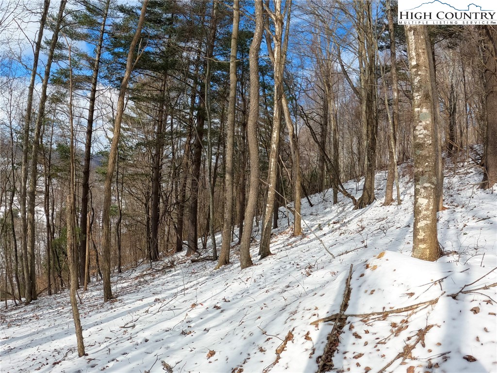 Misty Mountain Road Boone, NC 28607 - Photo 14 of 16