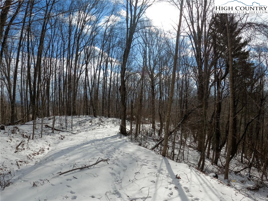 Misty Mountain Road Boone, NC 28607 - Photo 16 of 16