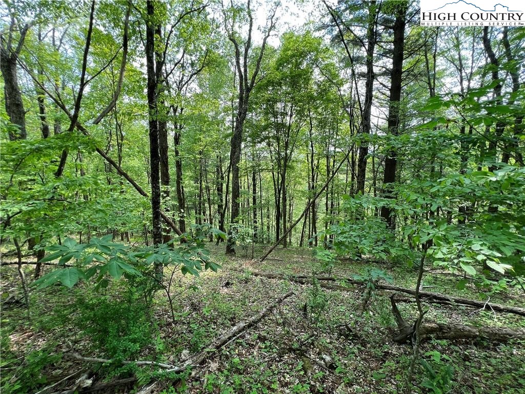 Misty Mountain Road Boone, NC 28607 - Photo 4 of 16