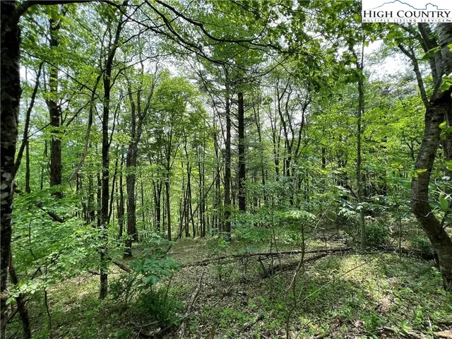 a view of a backyard of the house