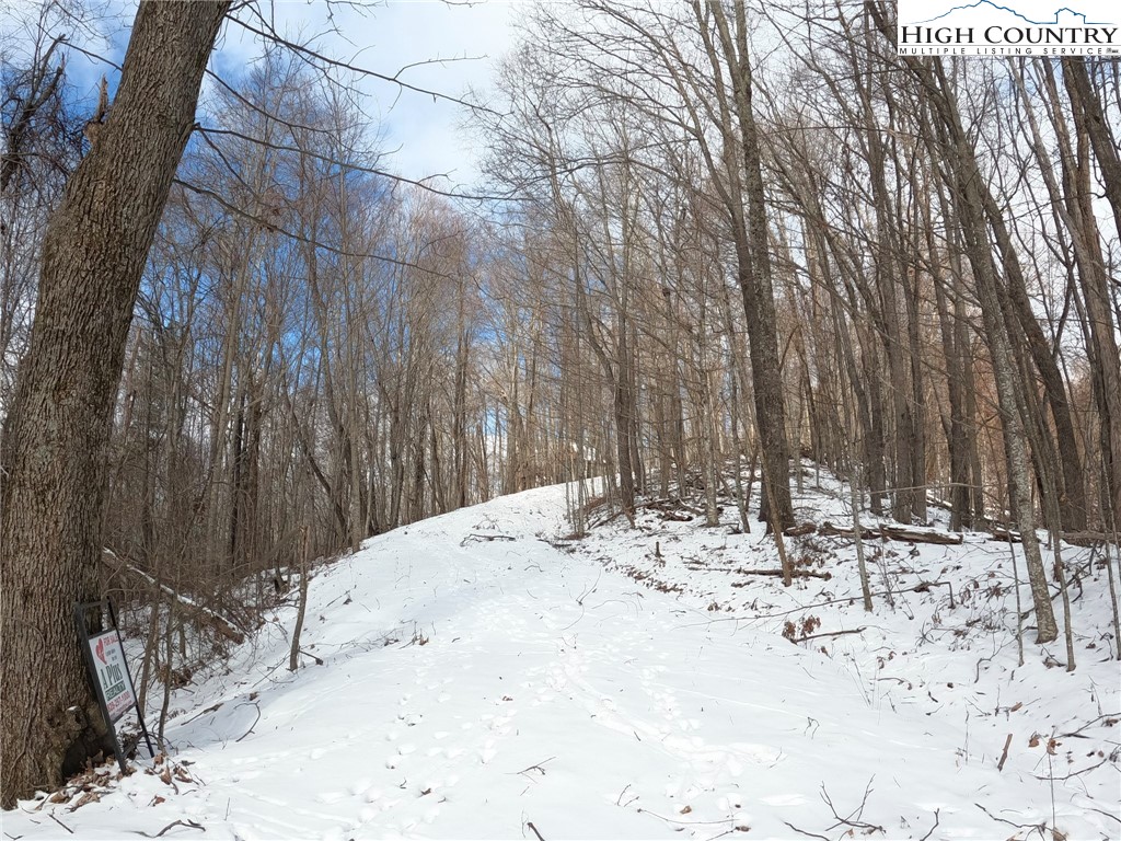 Misty Mountain Road Boone, NC 28607 - Photo 6 of 16