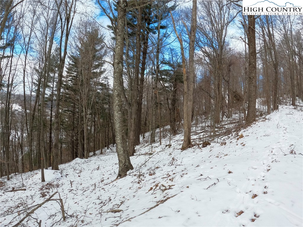 Misty Mountain Road Boone, NC 28607 - Photo 7 of 16