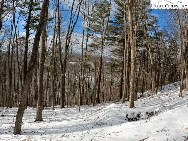 a view of a covered with snow in the background
