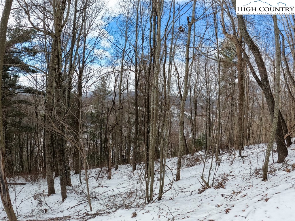 Misty Mountain Road Boone, NC 28607 - Photo 10 of 16