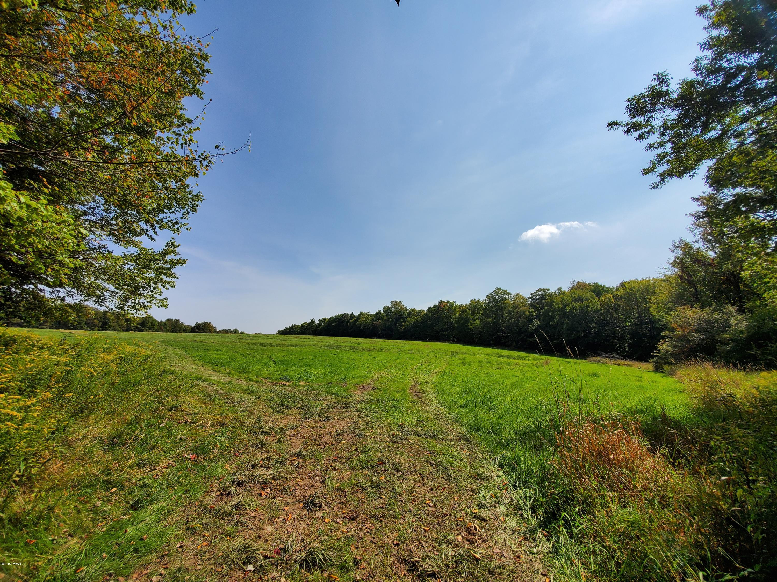 South Preston Road Lakewood, PA 18439 - Photo 13 of 16