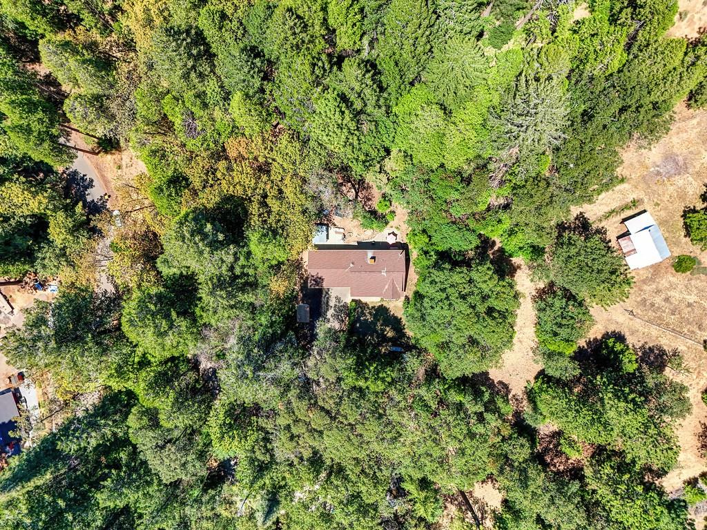 2585 Crystal Springs Road Camino, CA 95709 - Photo 88 of 89