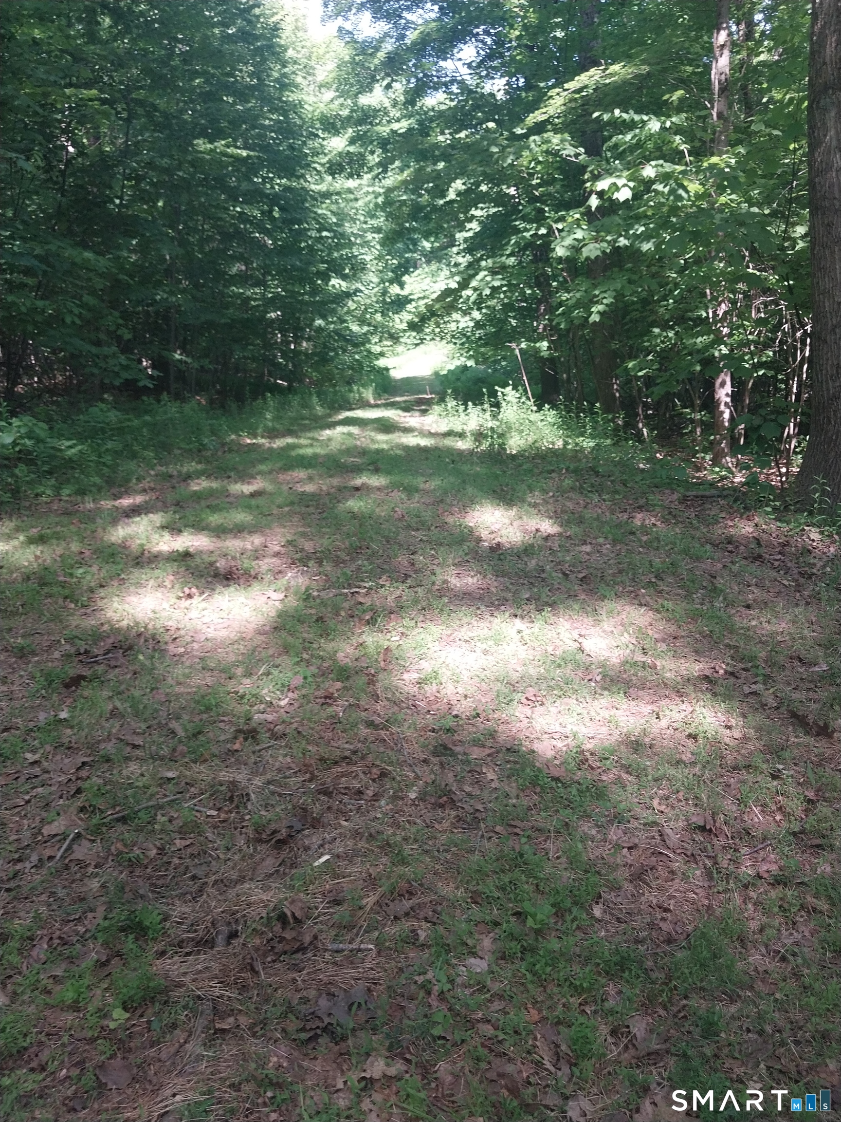 Mount Mauwee Road South Kent, CT 06785 - Photo 5 of 10
