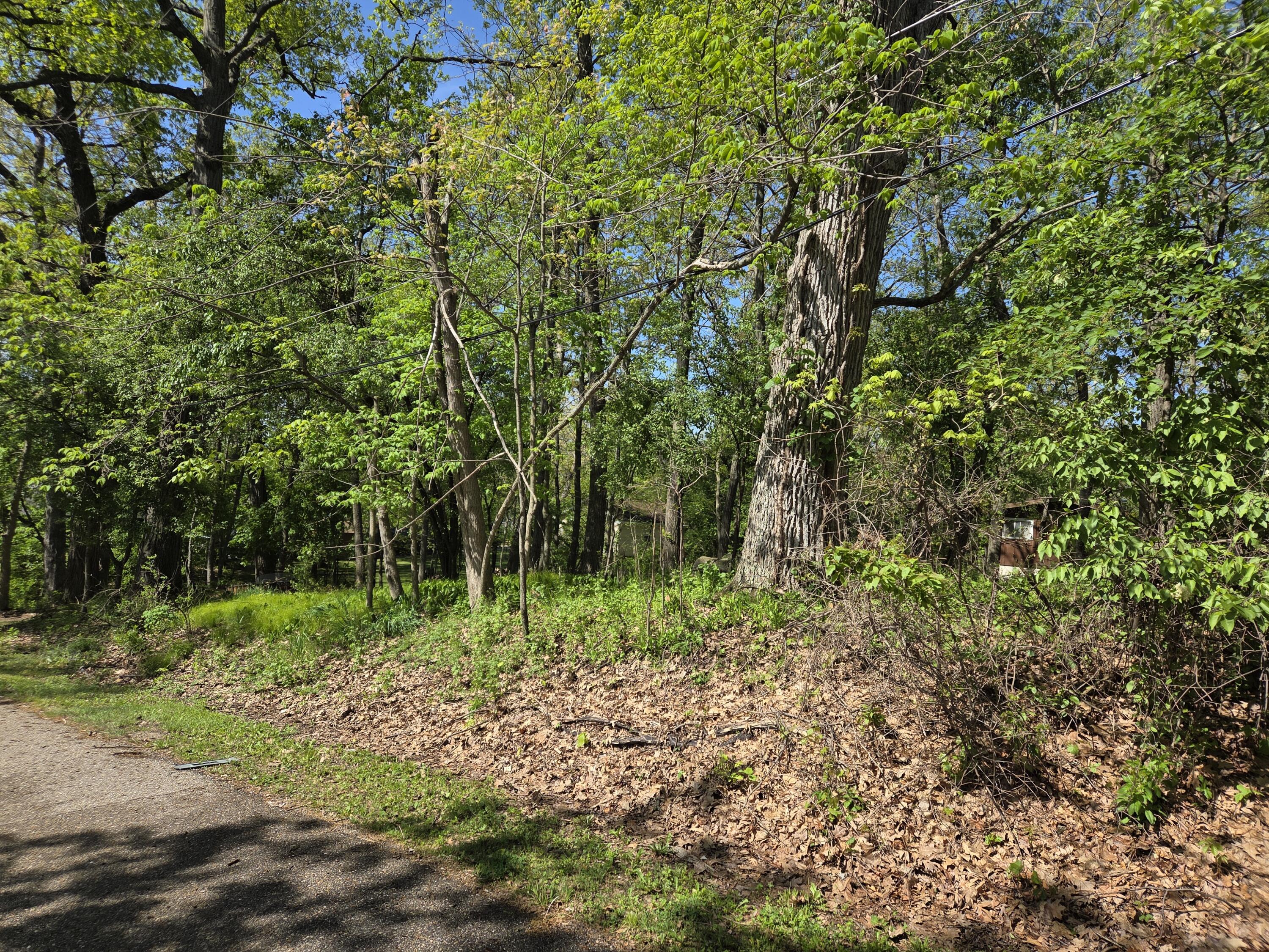 Lt10551 Tamarack Road, Unit 10558 Geneva, WI 53147 - Photo 11 of 15 20260516_100413