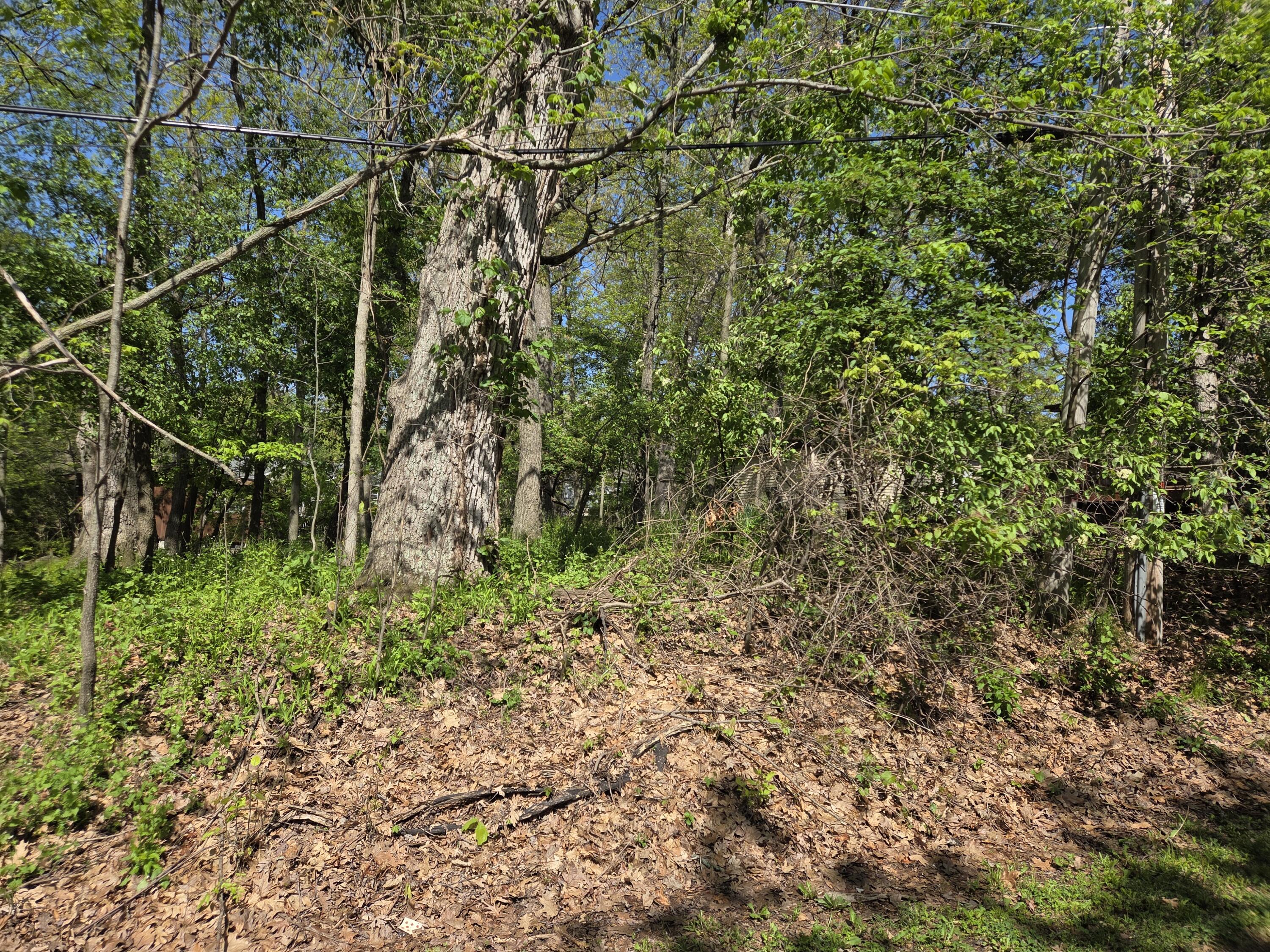 Lt10551 Tamarack Road, Unit 10558 Geneva, WI 53147 - Photo 15 of 15 20260516_100431