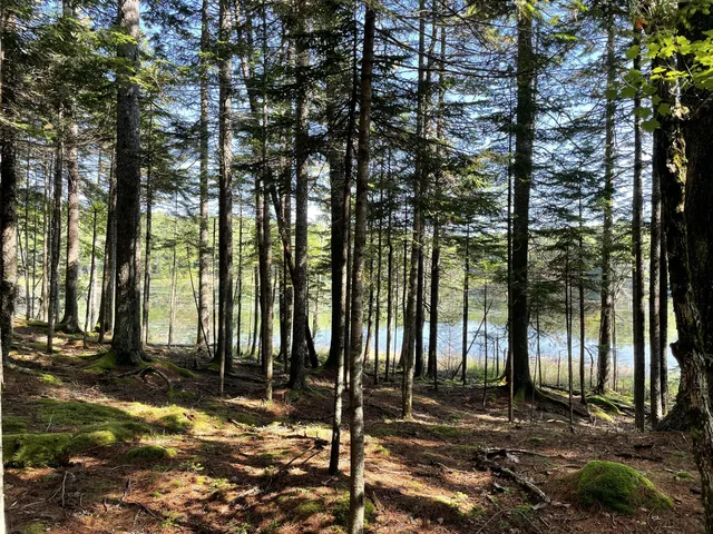 $379,000 | Lot A Lot A Red Spruce Way Mount, Mount Desert, ME 04660