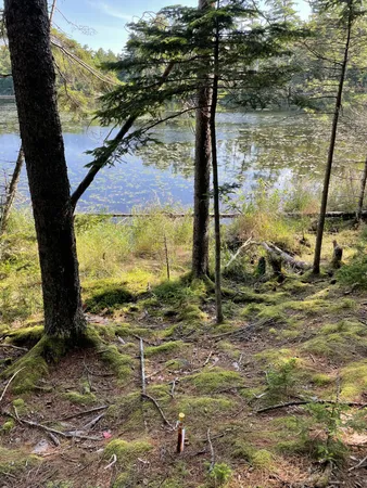$379,000 | Lot A Lot A Red Spruce Way Mount, Mount Desert, ME 04660