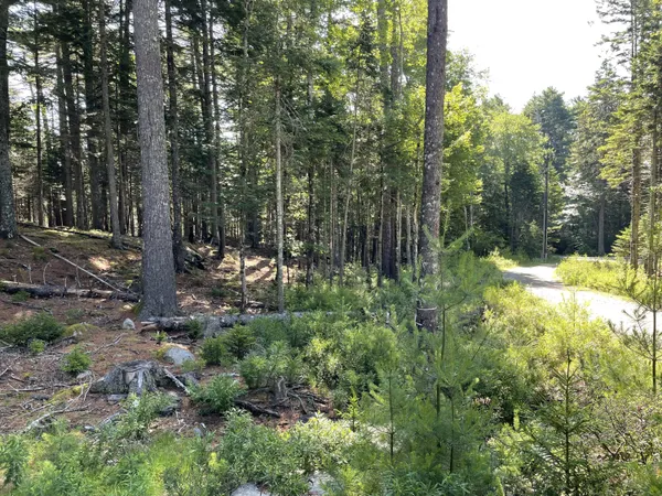$379,000 | Lot A Lot A Red Spruce Way Mount, Mount Desert, ME 04660