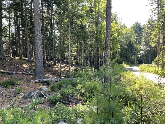 $379,000 | Lot A Lot A Red Spruce Way Mount, Mount Desert, ME 04660