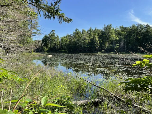 $379,000 | Lot A Lot A Red Spruce Way Mount, Mount Desert, ME 04660