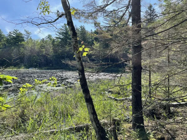 $379,000 | Lot A Lot A Red Spruce Way Mount, Mount Desert, ME 04660