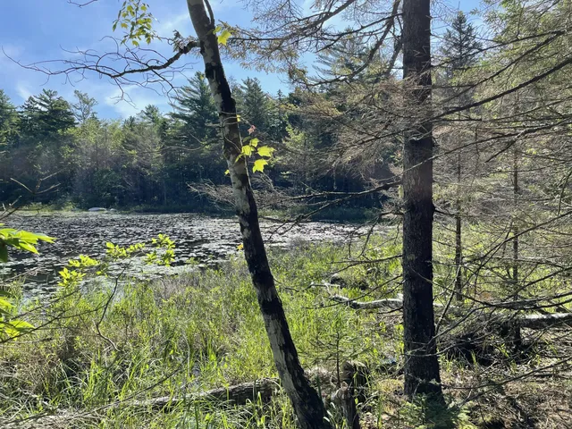 $379,000 | Lot A Lot A Red Spruce Way Mount, Mount Desert, ME 04660