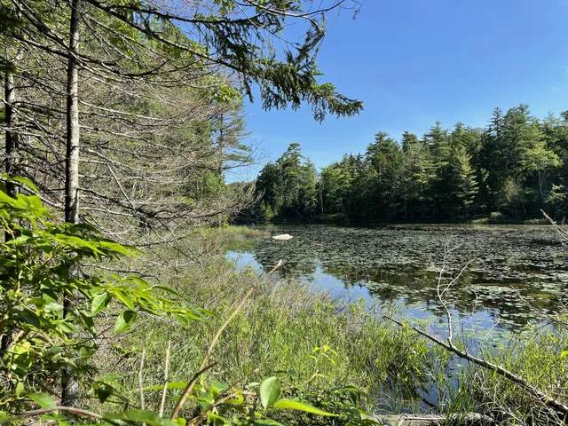 $379,000 | Lot A Lot A Red Spruce Way Mount, Mount Desert, ME 04660
