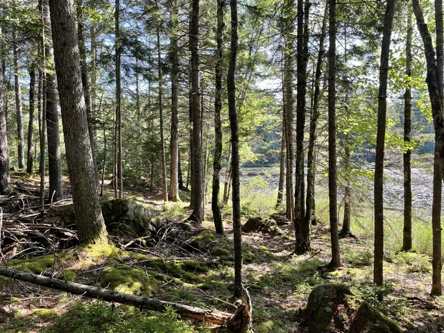 $379,000 | Lot A Lot A Red Spruce Way Mount, Mount Desert, ME 04660