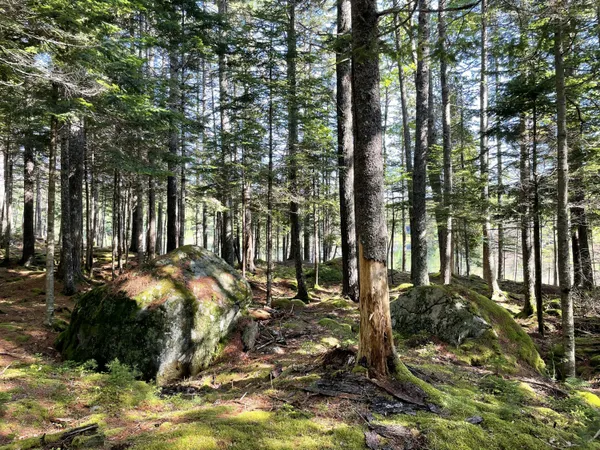 $379,000 | Lot A Lot A Red Spruce Way Mount, Mount Desert, ME 04660