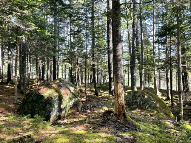 $379,000 | Lot A Lot A Red Spruce Way Mount, Mount Desert, ME 04660
