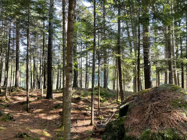 $379,000 | Lot A Lot A Red Spruce Way Mount, Mount Desert, ME 04660