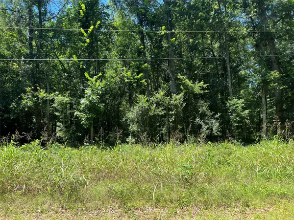 $11,000 | 0 Holt Street, Coldspring, TX 77331