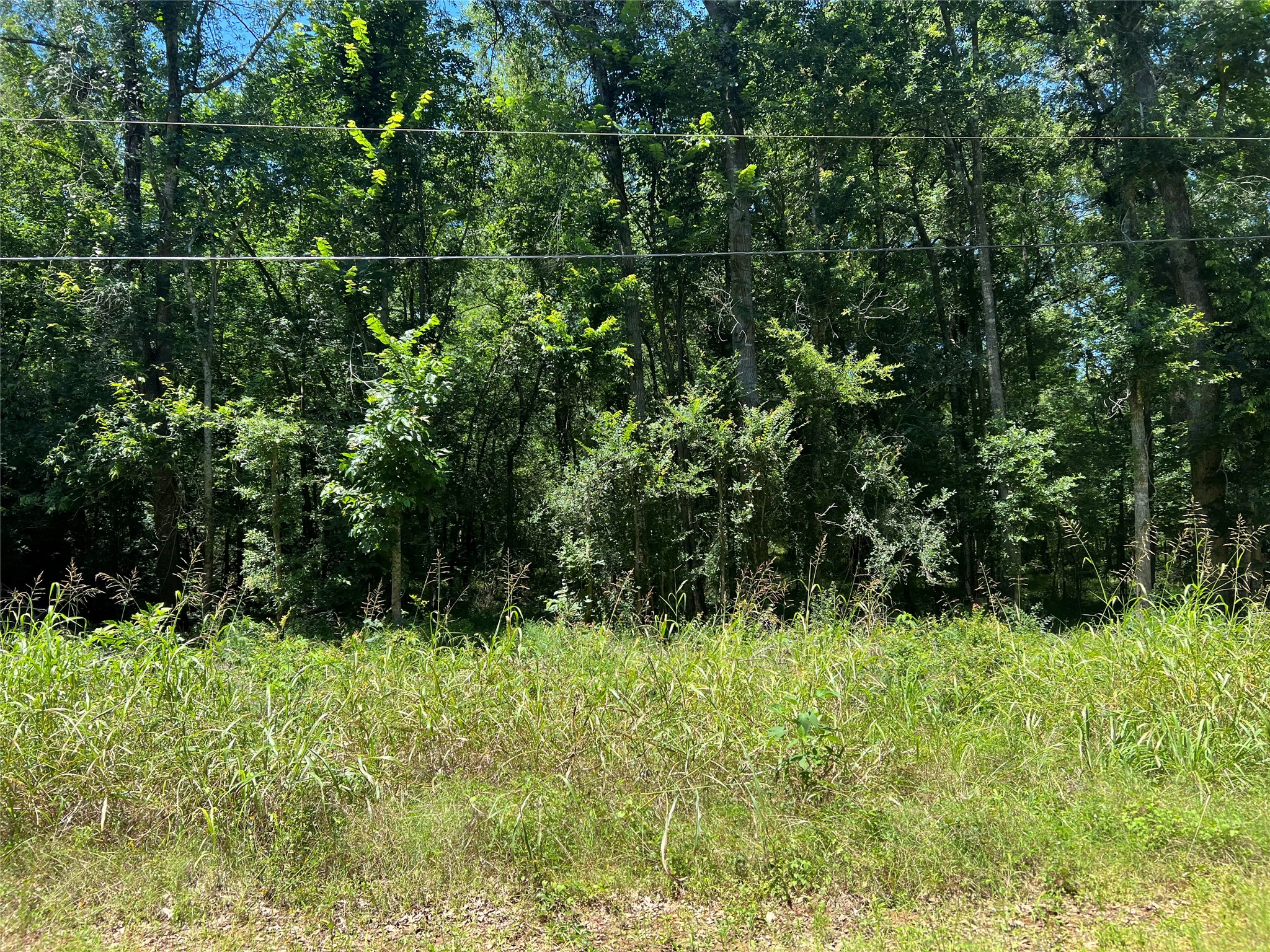 0 Holt Street Coldspring, TX 77331 - Photo 1 of 4