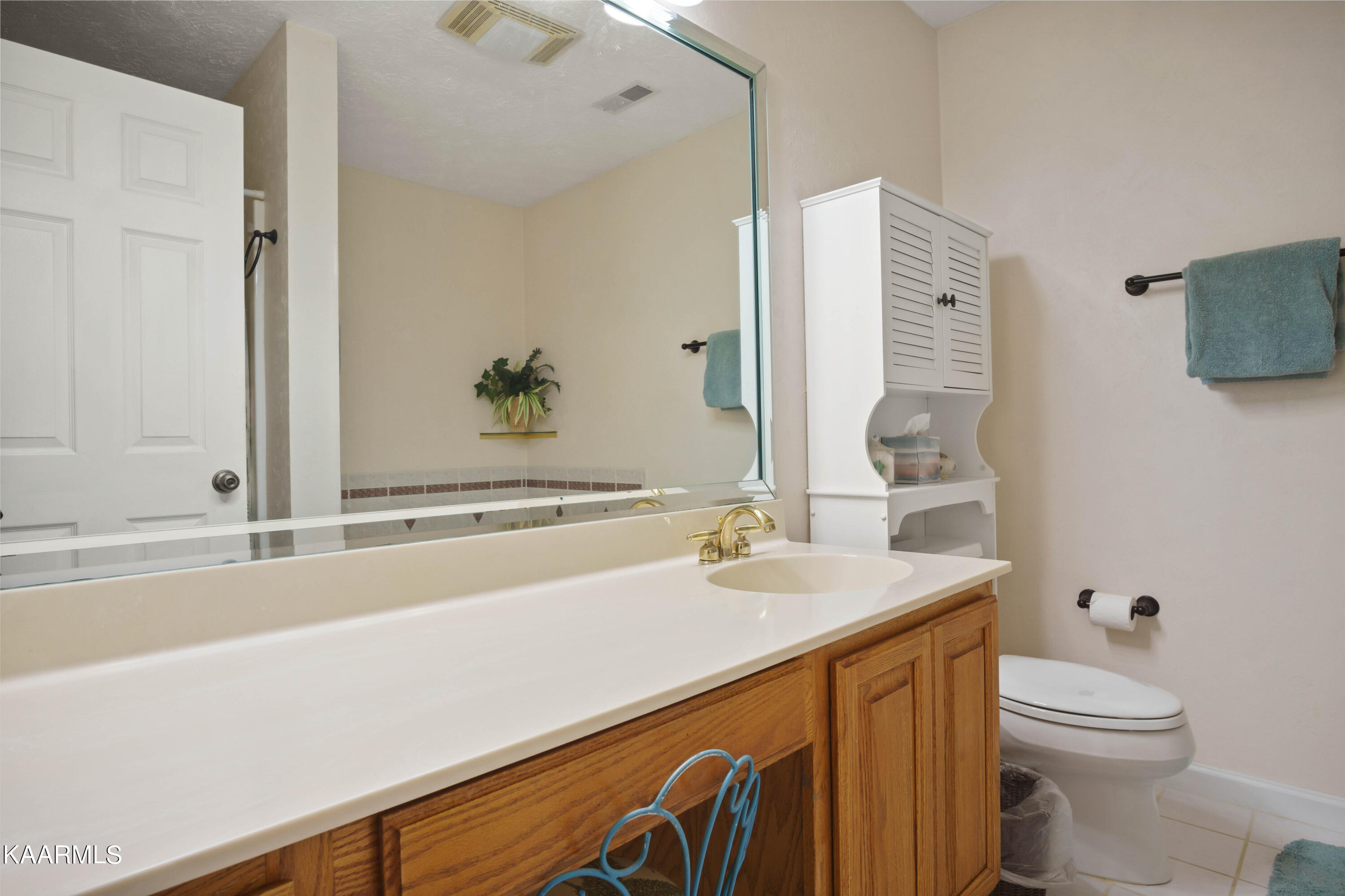 2180 Ranch Road Dandridge, TN 37725 - Photo 15 of 48 Primary Bath