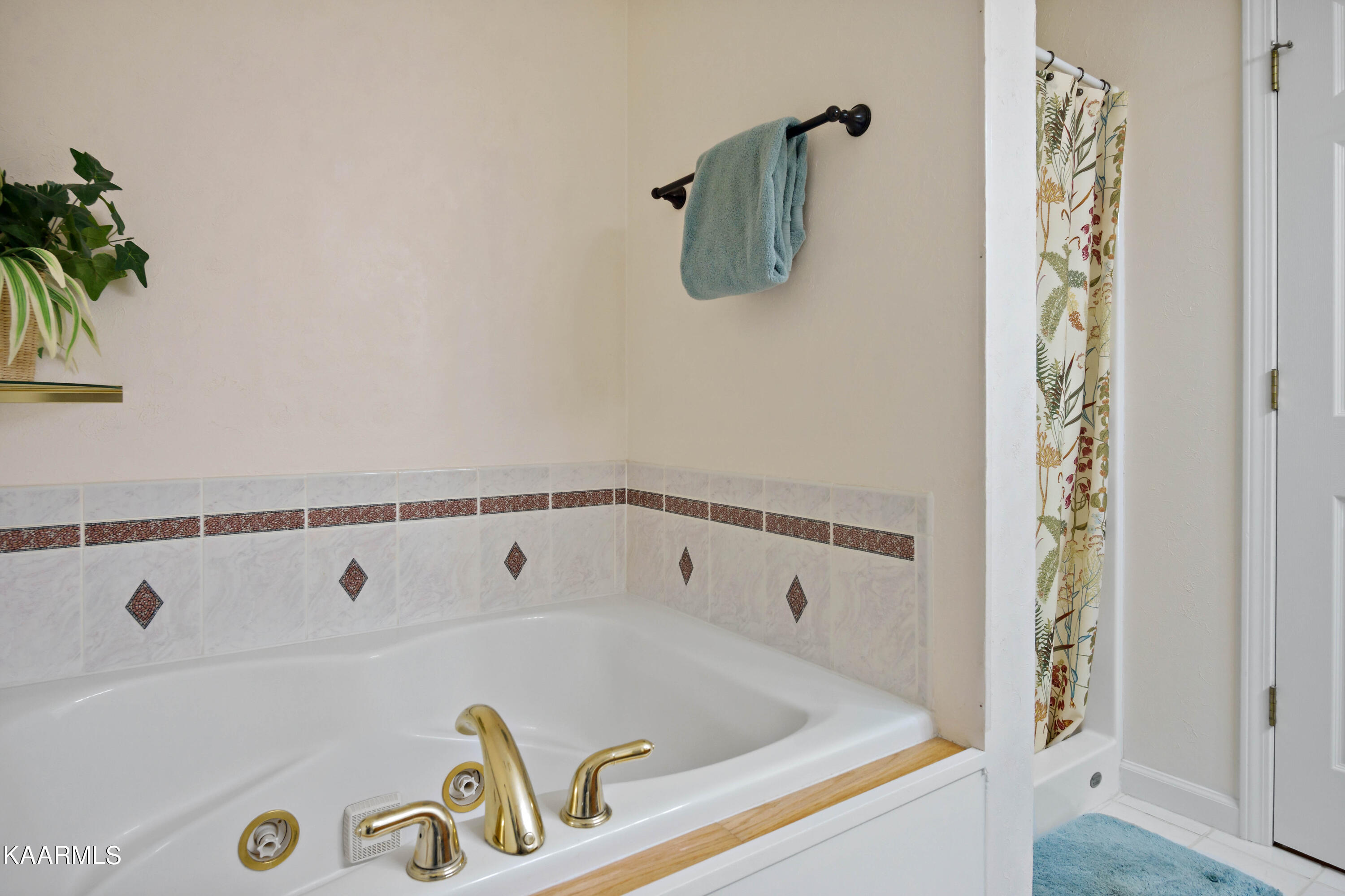 2180 Ranch Road Dandridge, TN 37725 - Photo 16 of 48 Primary Bath