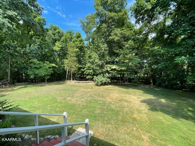 2180 Ranch Road Dandridge, TN 37725 - Photo 34 of 48 Guest Back Yard