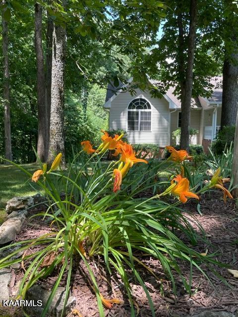 2180 Ranch Road Dandridge, TN 37725 - Photo 46 of 48 20220706183446454669000000-o