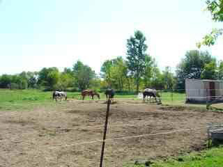 3636 Catlin Road Columbiaville, MI 48421 - Photo 4 of 11 20247924-3.JPG