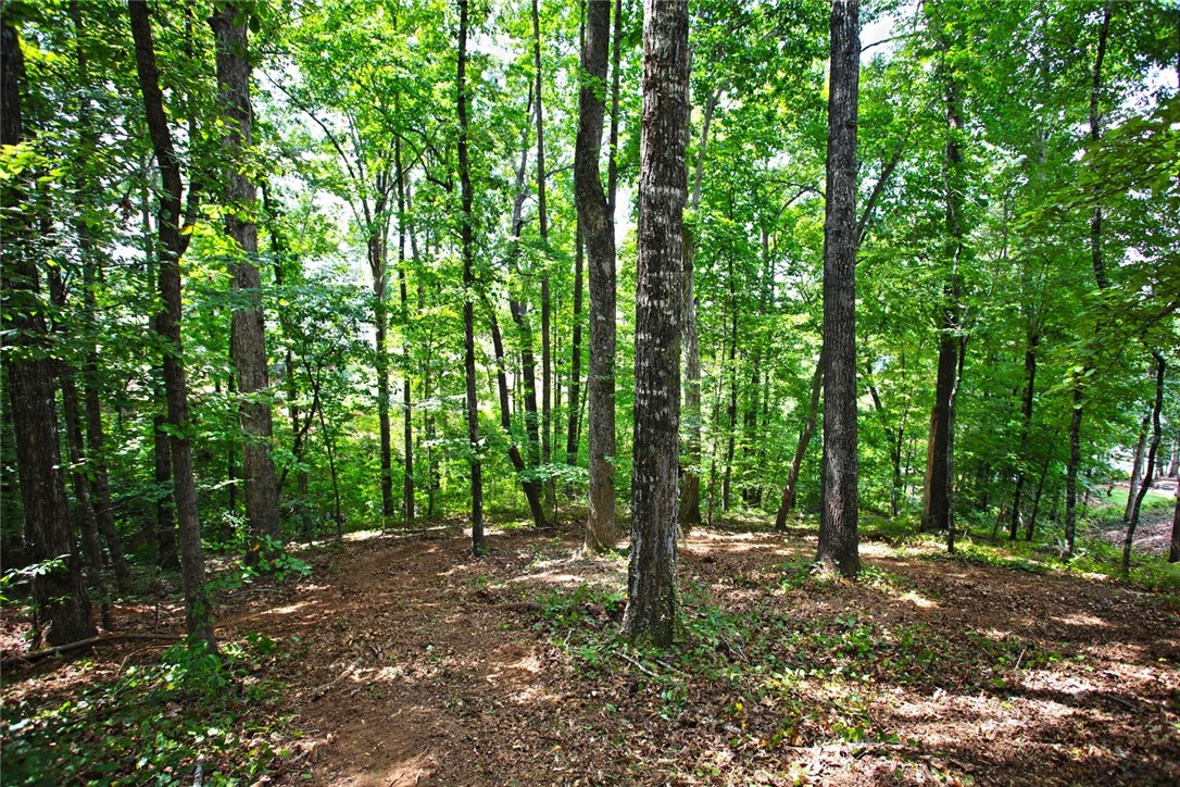 Lot 30 Waterford Ridge Seneca, SC 29672 - Photo 11 of 36 Gallery Image 11