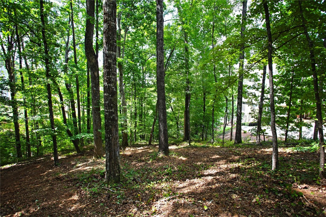 Lot 30 Waterford Ridge Seneca, SC 29672 - Photo 12 of 36 Gallery Image 12