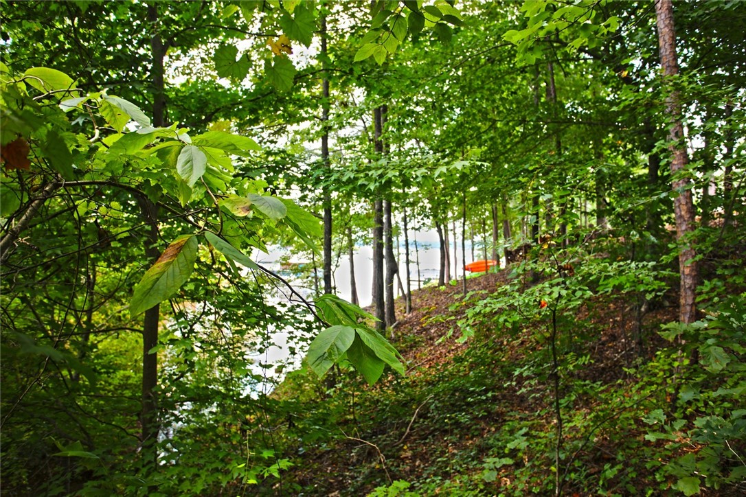 Lot 30 Waterford Ridge Seneca, SC 29672 - Photo 13 of 36 Gallery Image 13