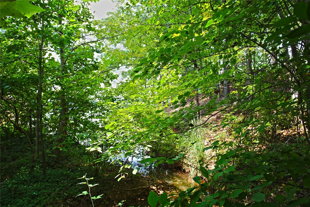 Lot 30 Waterford Ridge Seneca, SC 29672 - Photo 14 of 36 Gallery Image 14