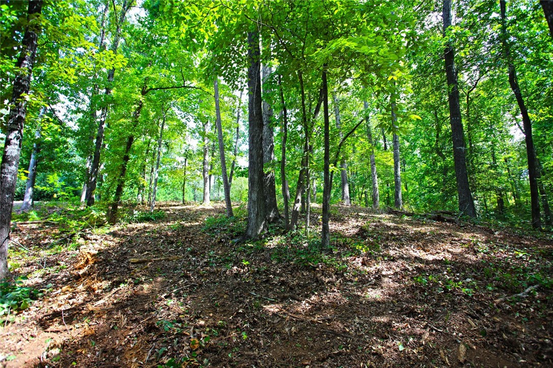 Lot 30 Waterford Ridge Seneca, SC 29672 - Photo 16 of 36 Gallery Image 16